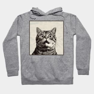 Shocked Cat Cartoon Vintage Cartoon Cat Crazy Hoodie